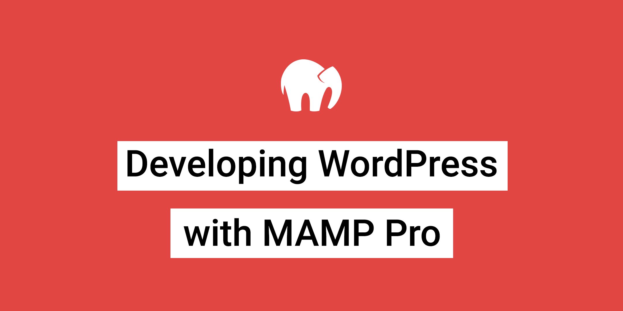 mamp pro wordpress
